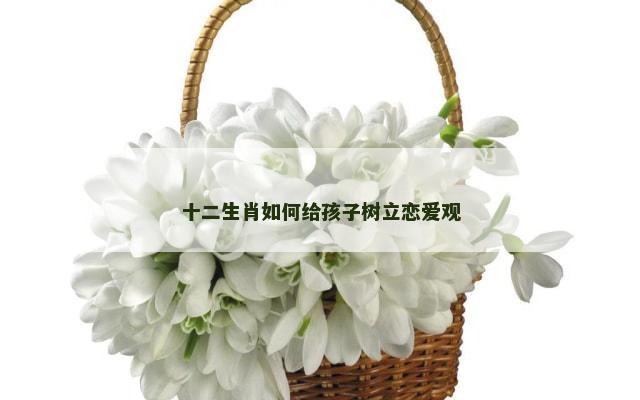 十二生肖如何给孩子树立恋爱观
