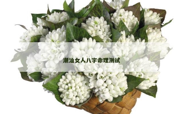 潮汕女人八字命理测试