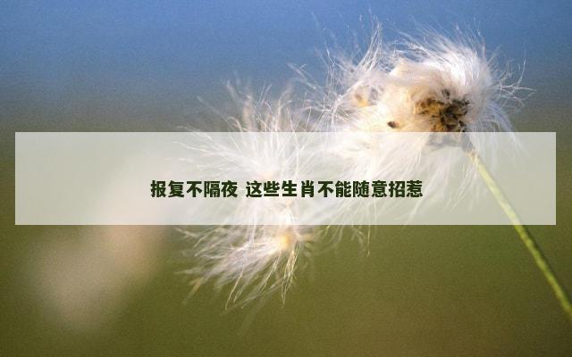 报复不隔夜 这些生肖不能随意招惹
