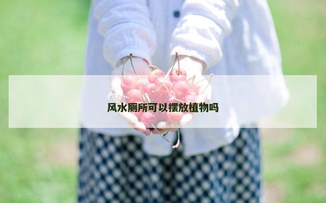 风水厕所可以摆放植物吗