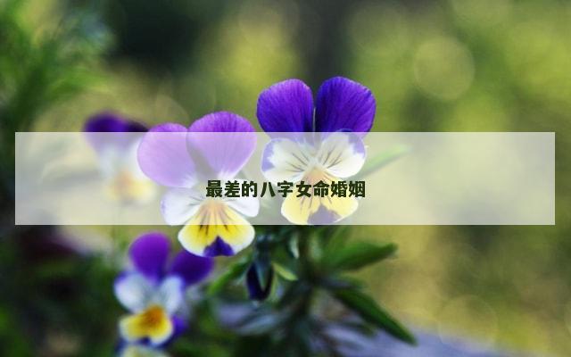 最差的八字女命婚姻