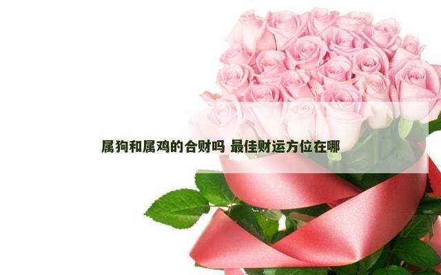 属狗和属鸡的合财吗 最佳财运方位在哪