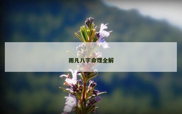 雨凡八字命理全解