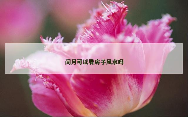 闰月可以看房子风水吗