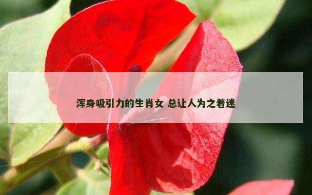 浑身吸引力的生肖女 总让人为之着迷