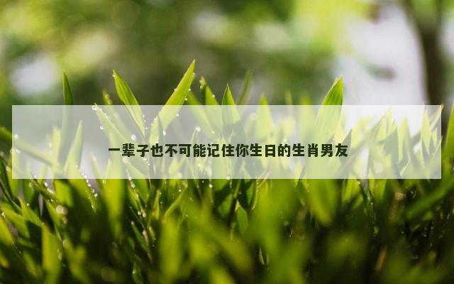 一辈子也不可能记住你生日的生肖男友