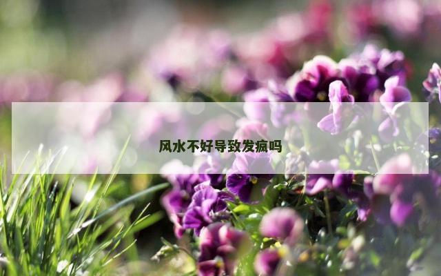 风水不好导致发疯吗
