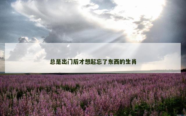 总是出门后才想起忘了东西的生肖