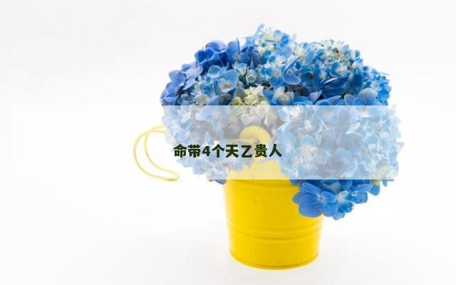 命带4个天乙贵人