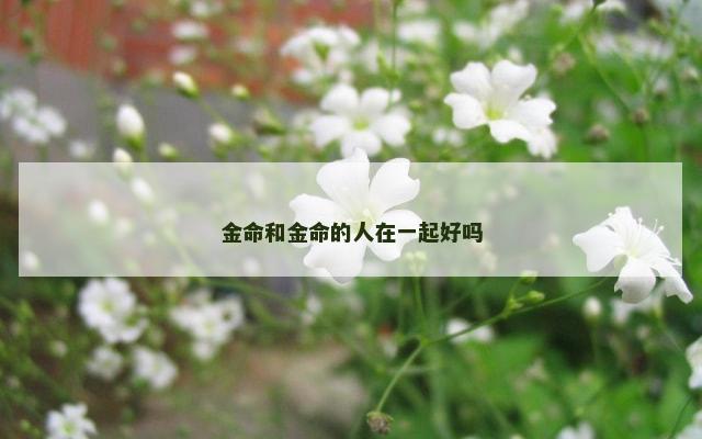 金命和金命的人在一起好吗
