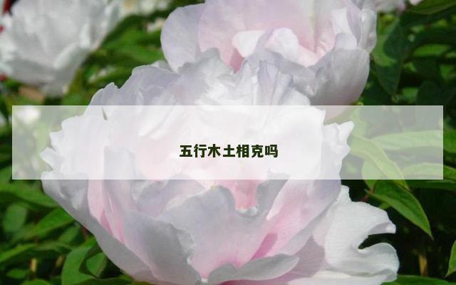 五行木土相克吗
