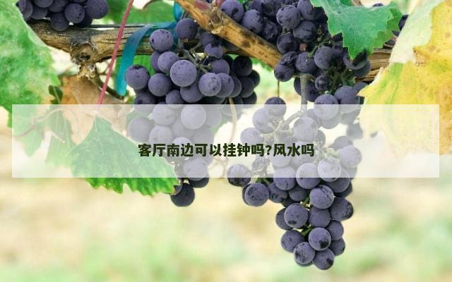 客厅南边可以挂钟吗?风水吗