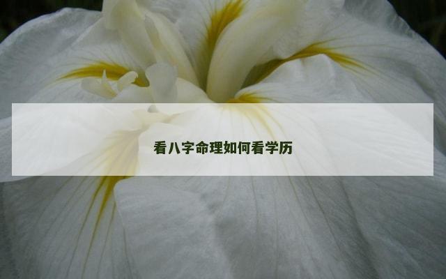 看八字命理如何看学历