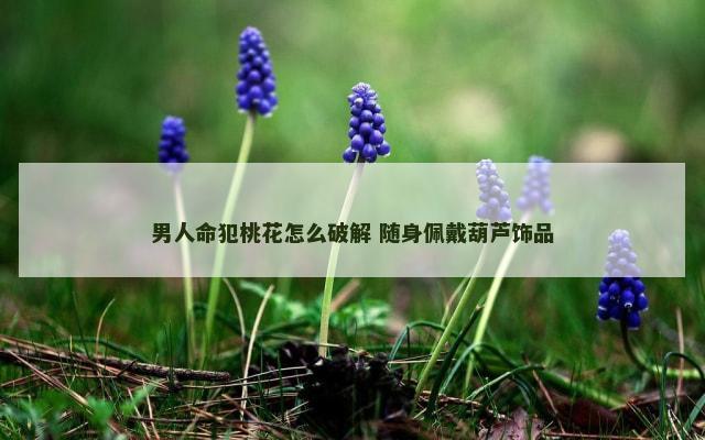 男人命犯桃花怎么破解 随身佩戴葫芦饰品