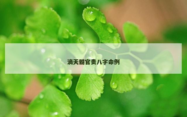 滴天髓官贵八字命例