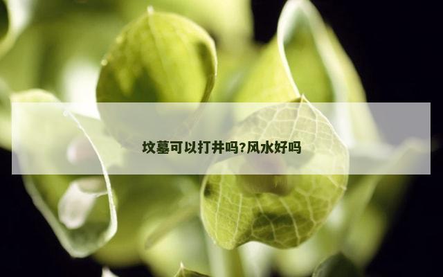 坟墓可以打井吗?风水好吗