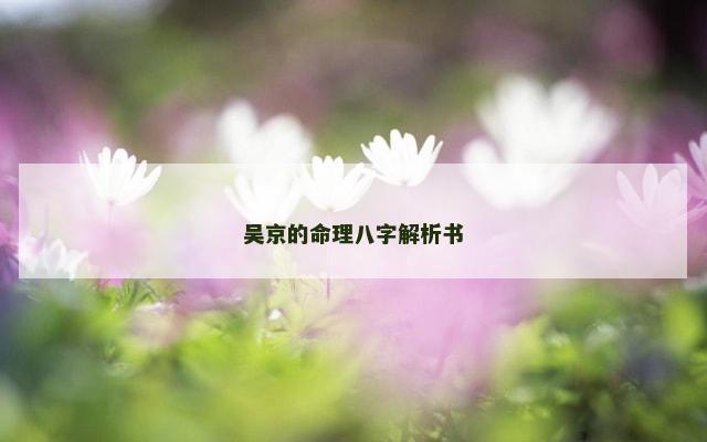 吴京的命理八字解析书