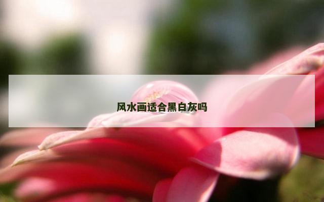 风水画适合黑白灰吗