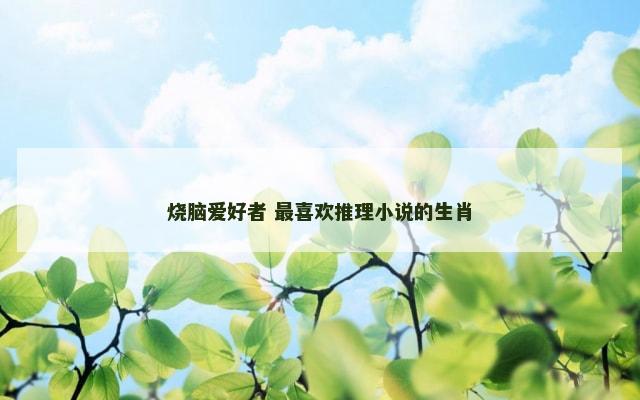 烧脑爱好者 最喜欢推理小说的生肖