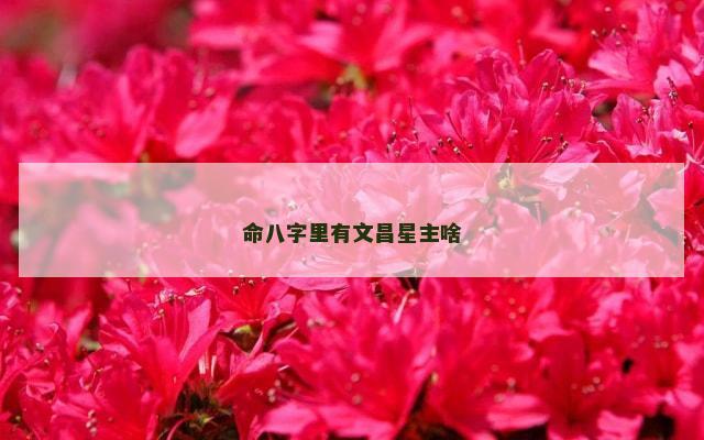 命八字里有文昌星主啥