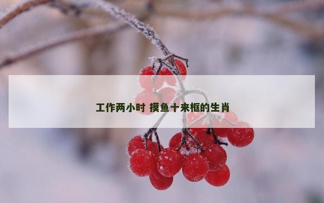 工作两小时 摸鱼十来框的生肖