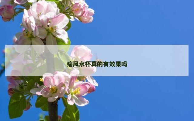 痛风水杯真的有效果吗