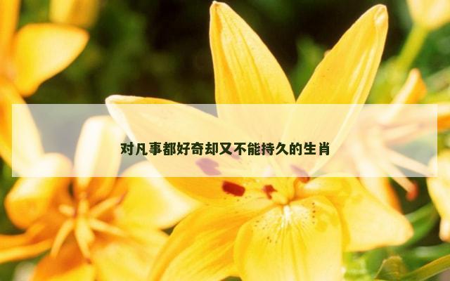 对凡事都好奇却又不能持久的生肖