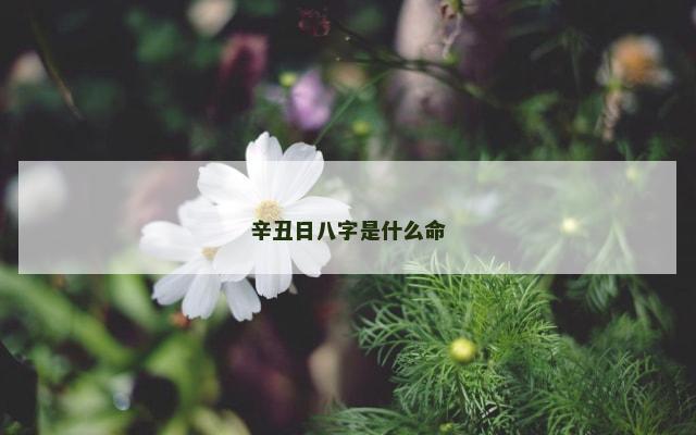 辛丑日八字是什么命