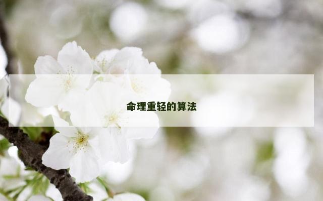 命理重轻的算法