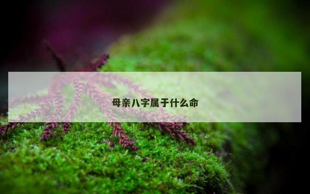 母亲八字属于什么命