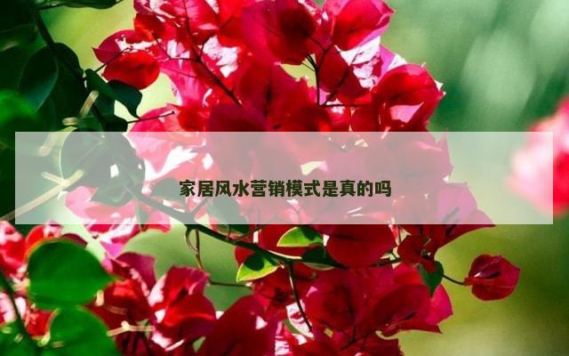 家居风水营销模式是真的吗