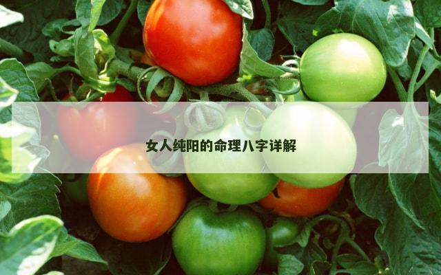女人纯阳的命理八字详解