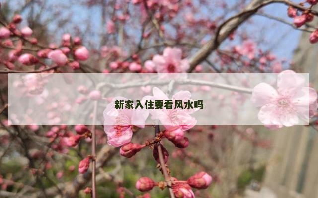 新家入住要看风水吗
