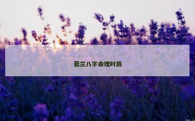 张兰八字命理时辰