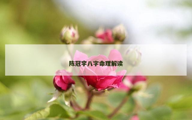陈冠宇八字命理解读