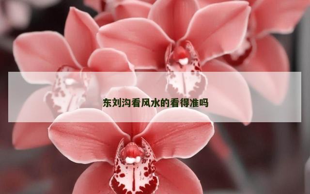 东刘沟看风水的看得准吗