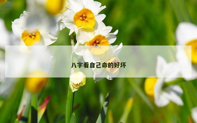 八字看自己命的好坏