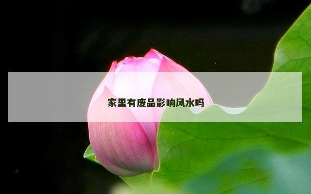 家里有废品影响风水吗