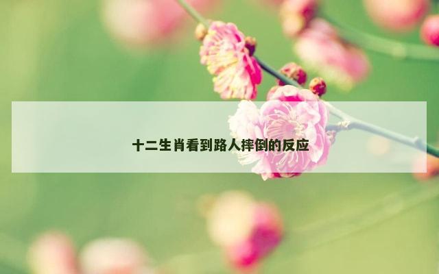 十二生肖看到路人摔倒的反应