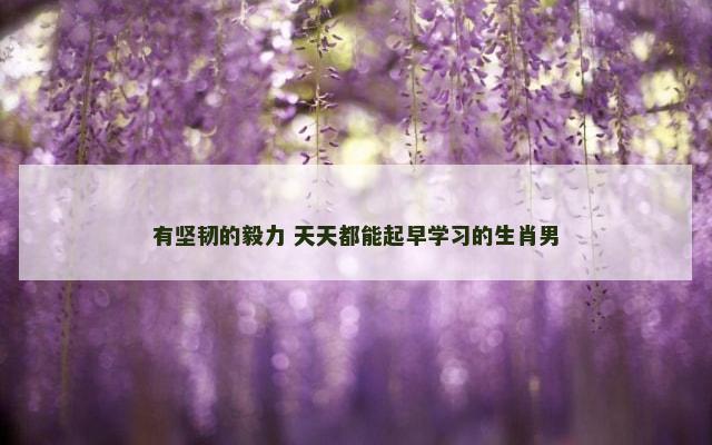 有坚韧的毅力 天天都能起早学习的生肖男