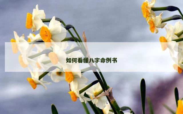如何看懂八字命例书
