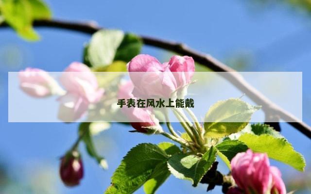 手表在风水上能戴