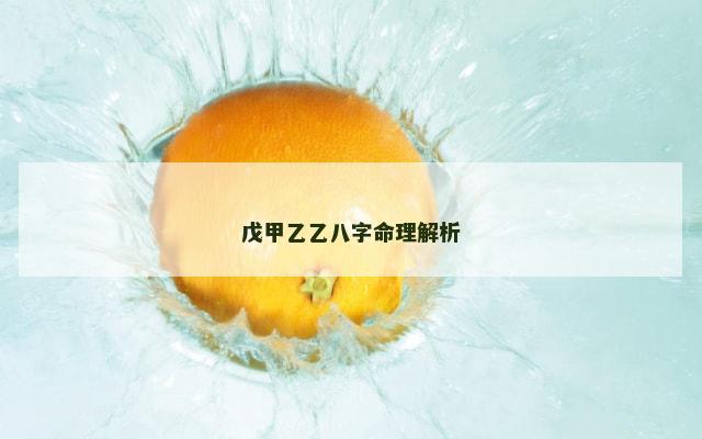 戊甲乙乙八字命理解析