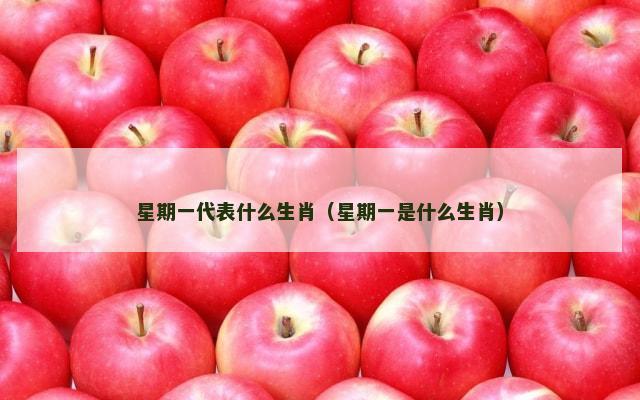 星期一代表什么生肖（星期一是什么生肖）