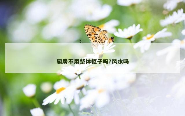 厨房不用整体柜子吗?风水吗