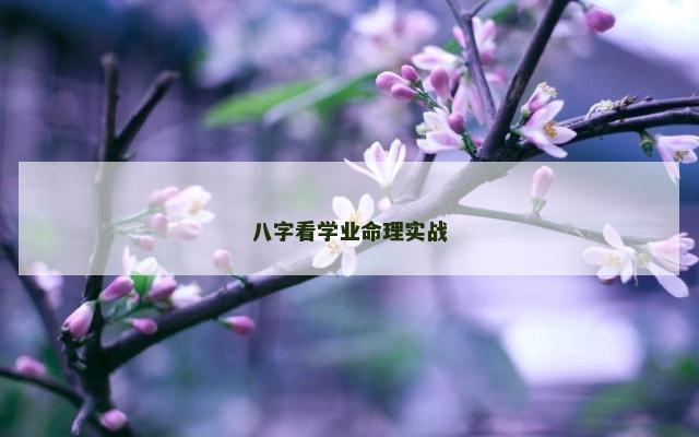 八字看学业命理实战