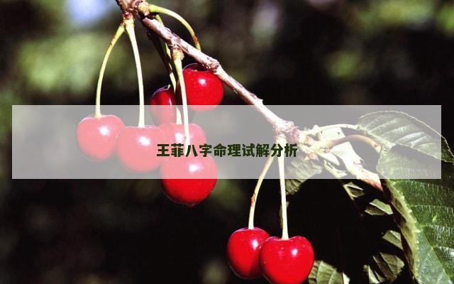 王菲八字命理试解分析