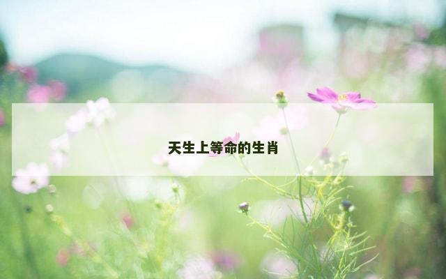 天生上等命的生肖
