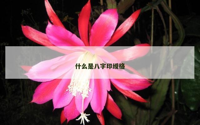 什么是八字印绶格
