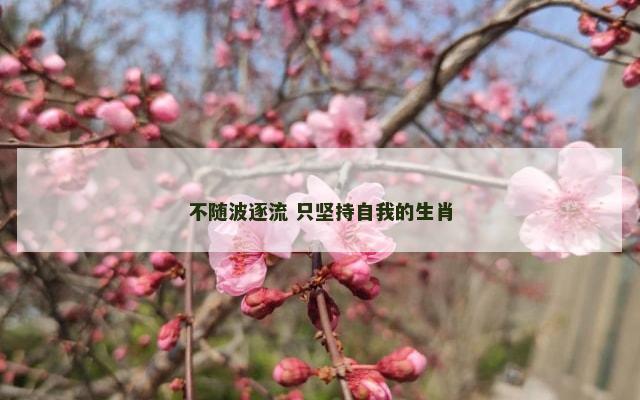不随波逐流 只坚持自我的生肖